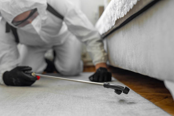 Professional Mosquito Control technician working in Bodfish, CA