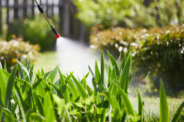 24/7 Emergency Mosquito Control experts in Bodfish, CA